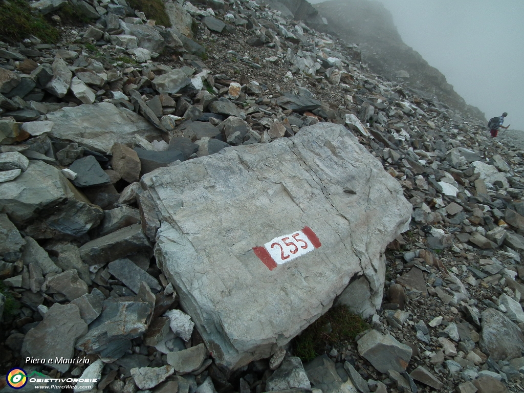 83  Sentiero 255, via 'normale' al Pizzo Poris....jpg
